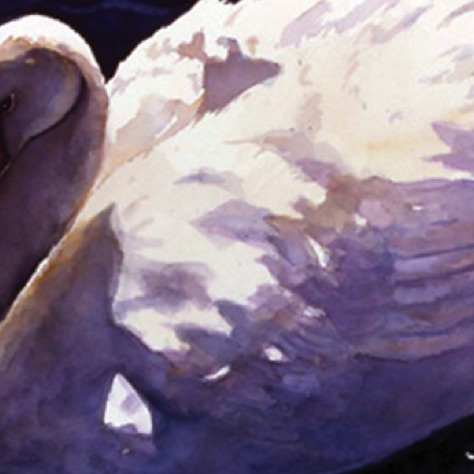 Swan #2
22x26
FRAMED